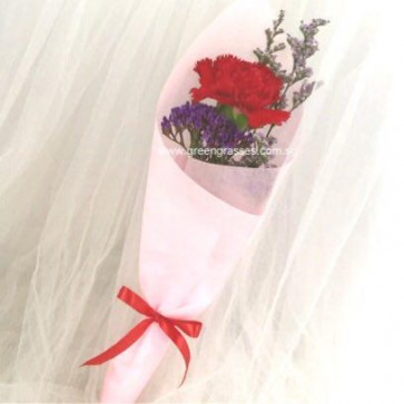 SCHB01014-Self Collect-SW1F-1 Red Carnation