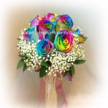 WB15012 ROM-9 Ecuador Rainbow Rose