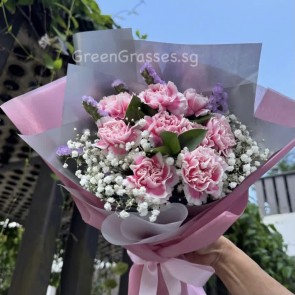 HB09576 ORWS-9 or 10 Pk Carnation hand bouquet