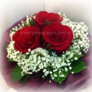 HB05047-LLGRW-3-Red Rose