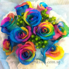 HB13072 BOQ-10 Ecuador Rainbow Rose