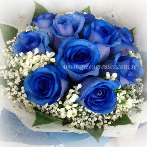 HB15020-LGRW-12 Ecuador Blue Rose