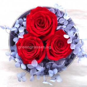 BXP06519 BOX-3 Red Roses Everlasting Preserved 永生花 in Box