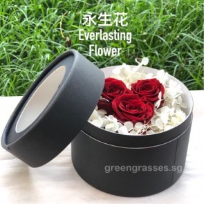 BXP06516-3 Red Roses Everlasting Preserved 永生花 in Box