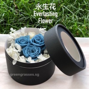BXP07541-3 Grey Blue Roses Everlasting Preserved 永生花 in Box
