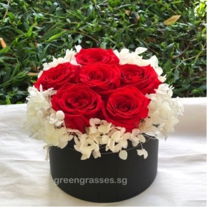 BXP09062-6 Red Roses Everlasting Preserved 永生花 in Box