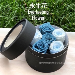 BXP09063-6 Mixed Blue Roses Everlasting Preserved 永生花 in Box