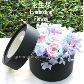 BXP09066-6 Rainbow Roses Everlasting Preserved 永生花 in Box