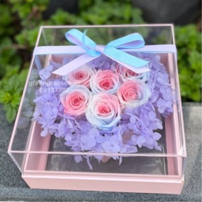 BXP10083 BOX-6 永生花 Everlasting Preserved Rainbow Roses in Box