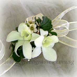 CGW02579 Wrist Corsage-2 Wh Orchids