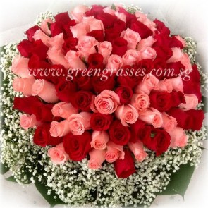 GHB35020 LGRW-99 Red & Pk Rose