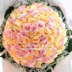 GHB35308 LGRW-100 Rose(Pk & Champagne)