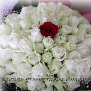 GHB36021 LGRW-101 Rose(100Wh+1Red)