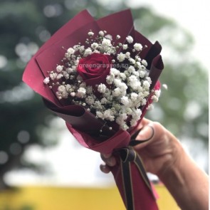 HB04016-SW-1 Red Rose