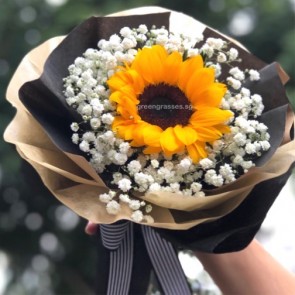 HB05088-SW-1 Sunflower