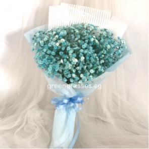 HB05574-Blue BB Baby's Breath