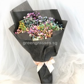HB06014-Rainbow BB Baby's Breath 彩虹满天星