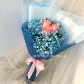 HB06045-SW-3 Pk Rose w/Blue BB