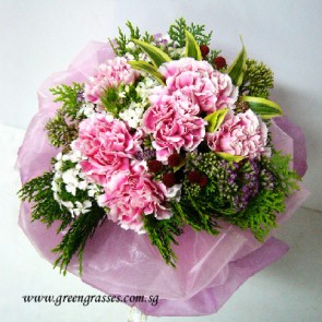 HB07522 ORWS-6 Pk Carnation hand bouquet
