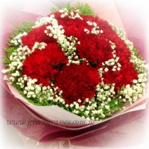 HB08828-LLGRW-9 Red Carnations hand bouquet