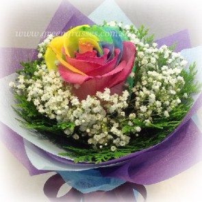 HB07518-BOQ-1 Ecuador Rainbow Rose