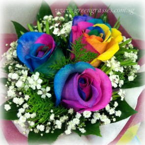 HB08507-BOQ-3 Ecuador Rainbow Rose