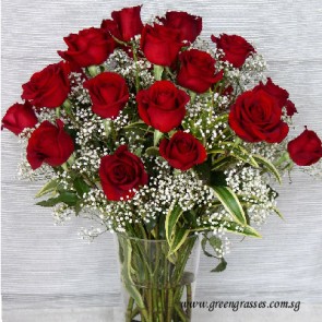 TF10005-18 Red Rose w/Glass Vase