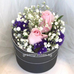 SCBX02039-Self Collect-RDB-2 Pk Roses in Box