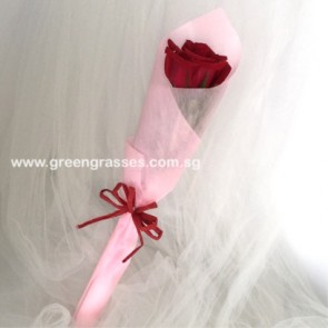 SCHB006520 Self Collect-PSW-1 Red Rose