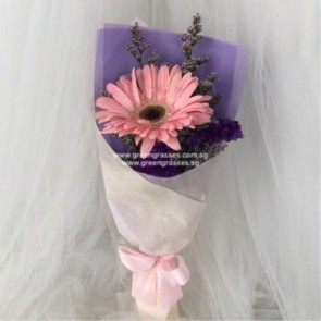 SCHB01008-Self Collect-SW1F-1 Pk Gerbera