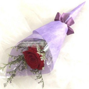 SCHB01029-Self Collect-SW1F-1 Red Rose