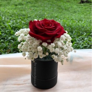 SCBX01562-Self Collect-RDB-1 Red Roses in Box