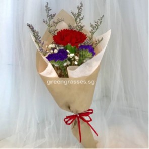 SCHB01547-Self Collect-SW-1 Red Carnation