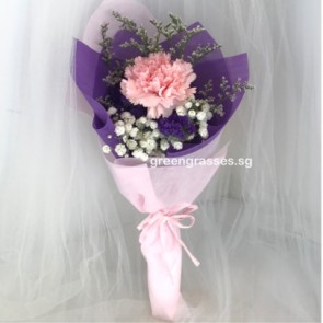 SCHB01548-Self Collect-SW-1 Pk Carnation