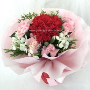 SCHB02013-Self Collect-LLGRW-1 Red Carnation