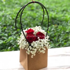 VHB-06560-3 Red Rose w/Paper Bag
